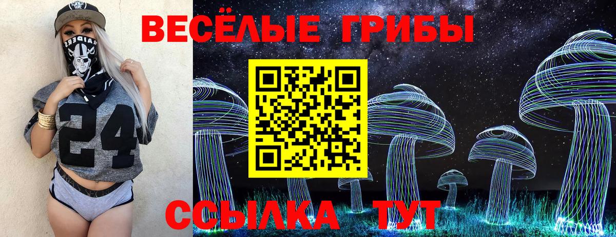 Михайловск  Галлюциногенные грибы Psilocybine cubensis  Вход с VPN  Галлюциногенные грибы мицелий 