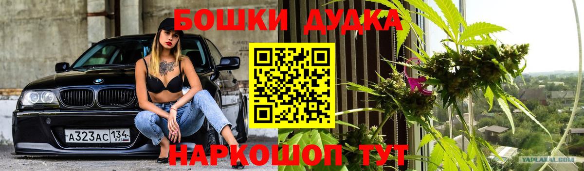 Конопля OG Kush Михайловск